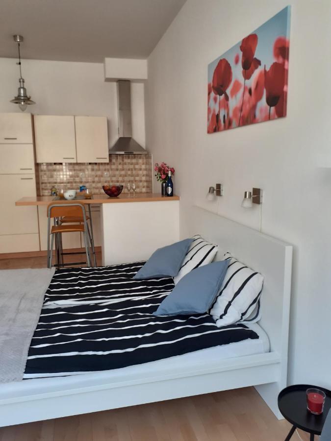 Belvedere Apartament *